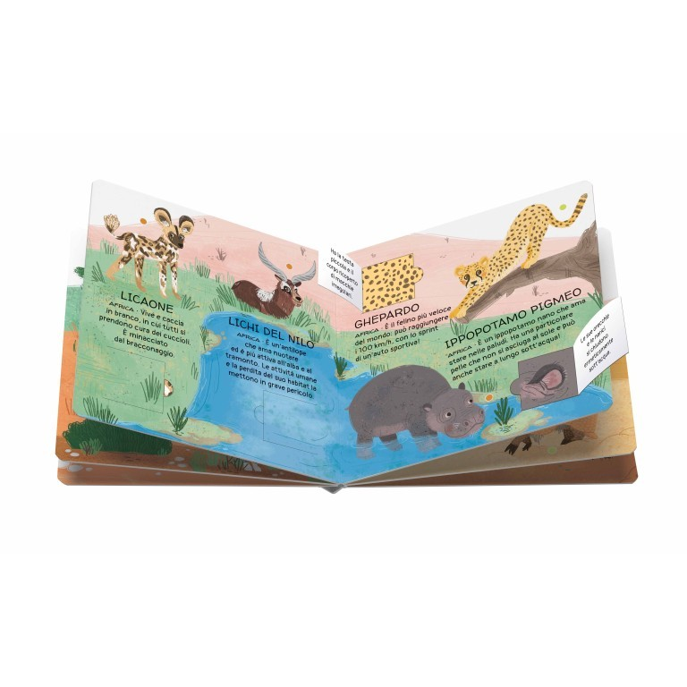 Animali da Salvare: Deserti e Savane – Libro Memo con Finestrelle | Jessica Martinello