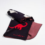 Coperta Il Dinosauro 80×100 cm – Ecomikro