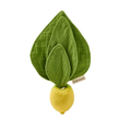 Oli&Carol Massaggiagengive Lemon Mini Doudou – John Lemon