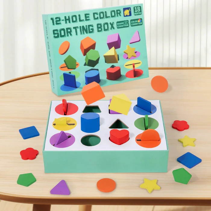 HOMERO Montessori Color Shape Classification Box – Set 10 Buche