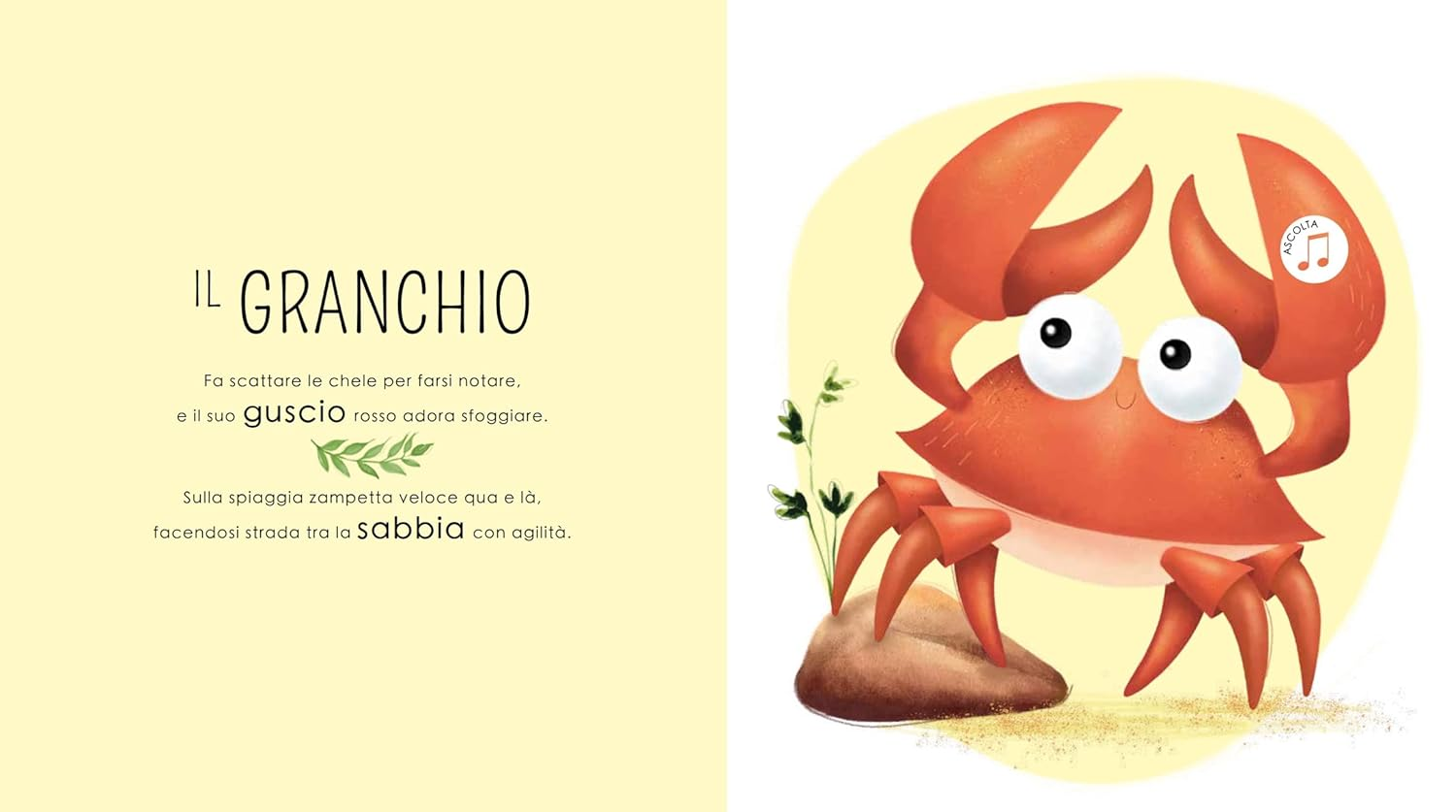 Chi c'è nel mare? – Libro Sonoro